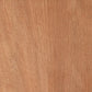 JB Kind Mixed Veneer Paint Grade Flush Trade VaIue Door (IPLY)
