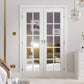 LPD GTP SA Glazed White Primed Internal Door Pairs
